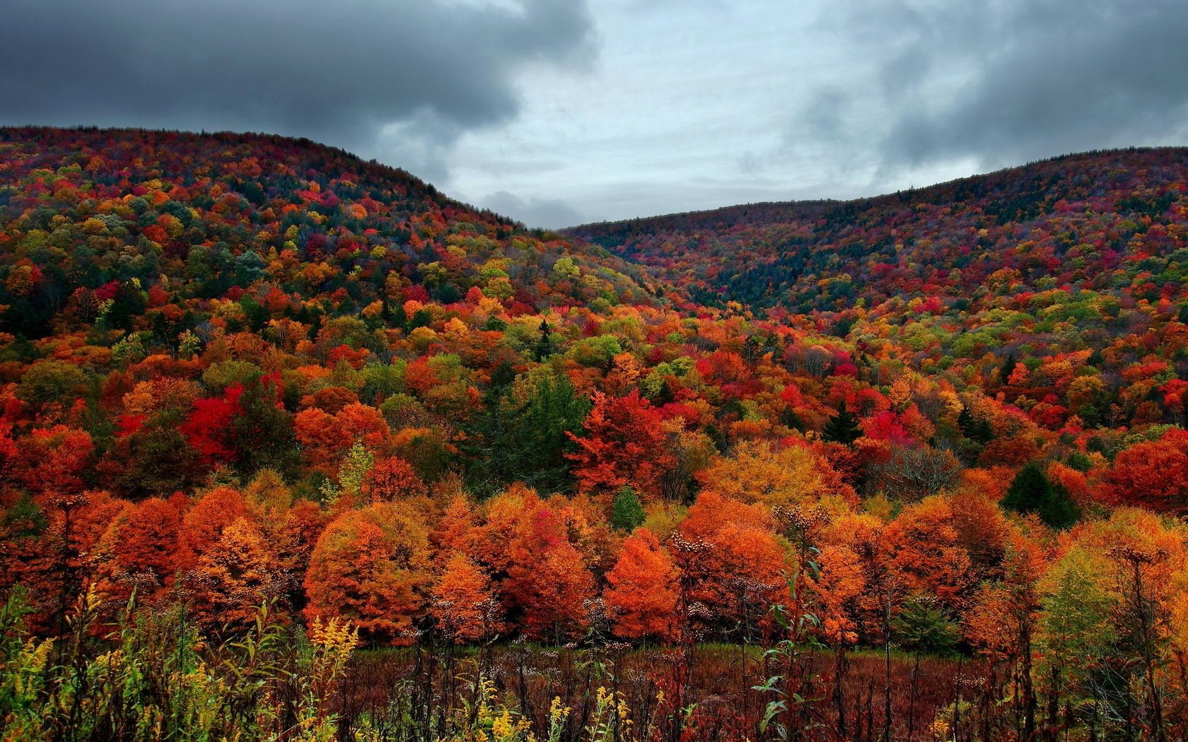 otoño paisaje otoño al aire libre montañas naturaleza árbol viajes hoja escénico luz del día cielo madera