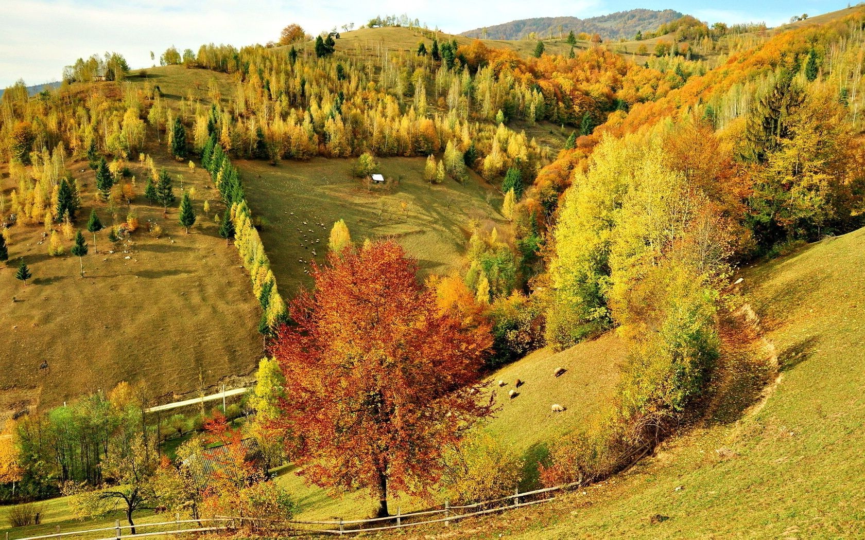 ağaçlar sonbahar manzara doğa ahşap ağaç doğal açık havada kırsal seyahat kırsal manzara dağlar yaprak tepe çimen gökyüzü sezon yol