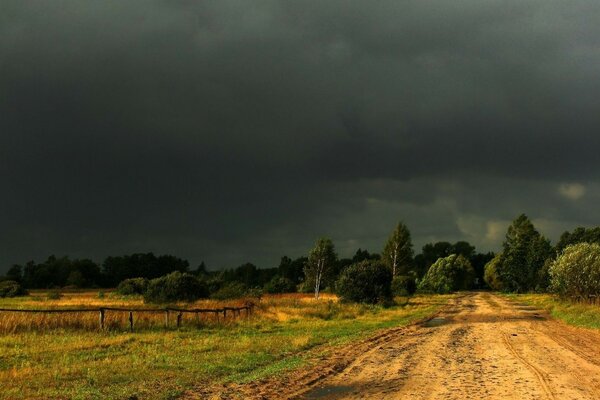 Ein Feld, das von Bäumen unter einem dunklen Himmel umgeben ist