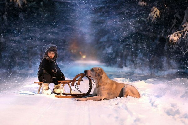 Noche de nieve de invierno con un amigo fiel