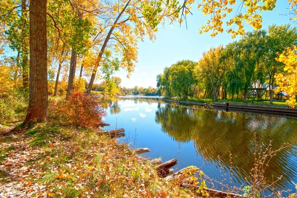 Autumn is good in gold on blue