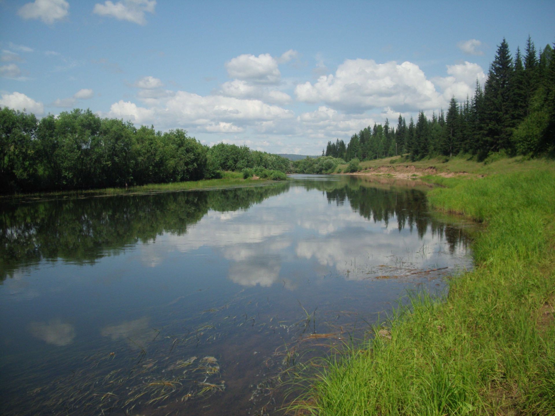 flüsse teiche und bäche teiche und bäche wasser see reflexion fluss landschaft natur im freien himmel holz holz reisen sommer gras pool gelassenheit