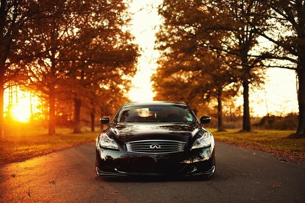 Luxury expensive car at sunset