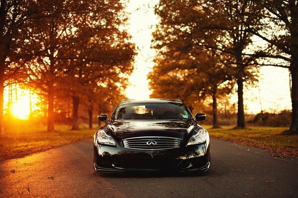 Elegante coche caro al atardecer