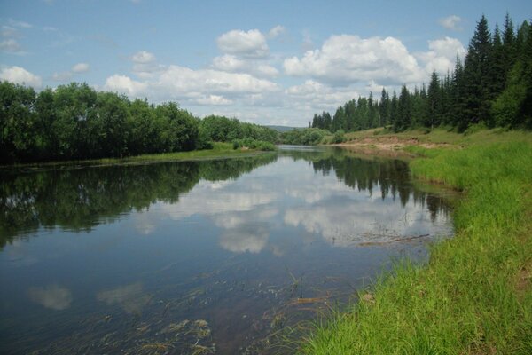 Río en el fondo del bosque