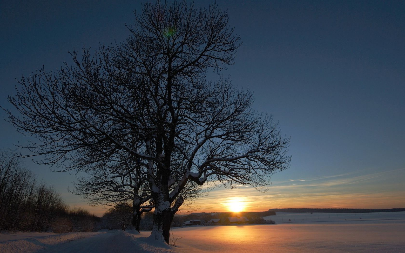 the sunset and sunrise dawn sunset landscape tree sun winter nature evening fog snow dusk fair weather silhouette outdoors light sky water backlit fall