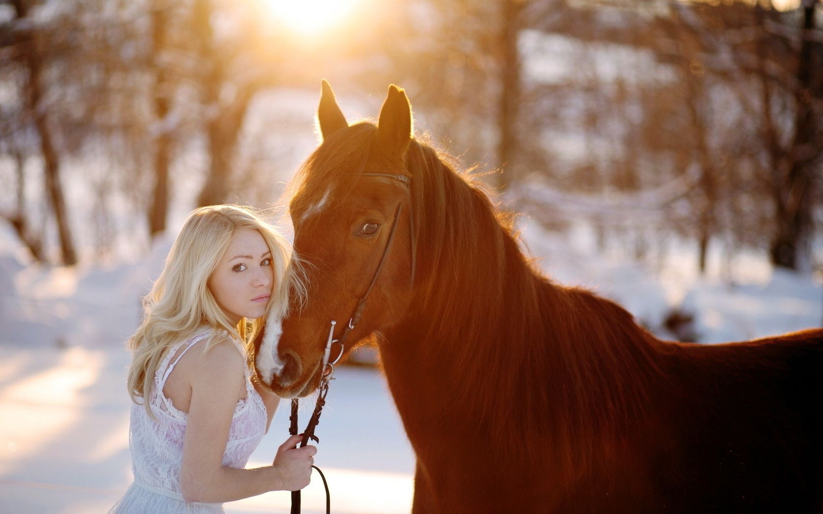 love and romance winter snow nature outdoors cold girl woman beautiful portrait ice fall one sunset fair weather frost cavalry leisure