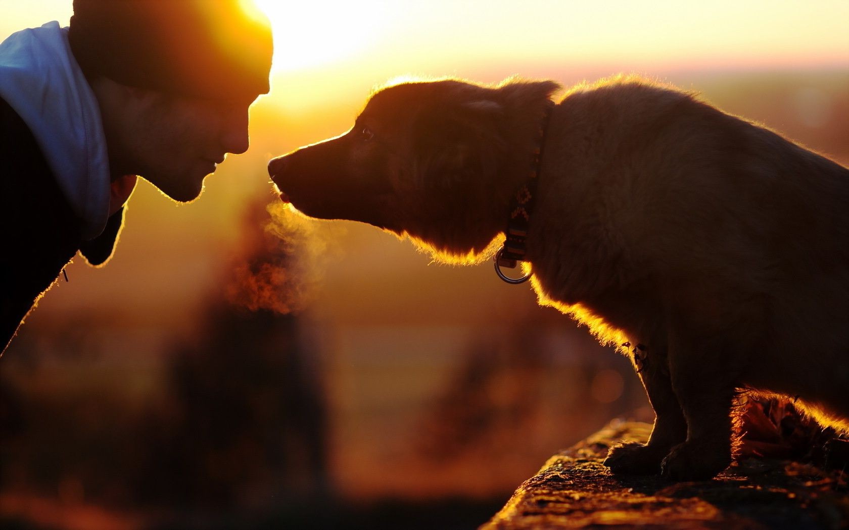 liebe und romantik sonnenuntergang ein hintergrundbeleuchtung im freien unschärfe abend sonne seitenansicht dämmerung säugetier erwachsener porträt