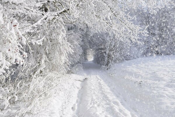 Snow-covered passages in winter fairy tales