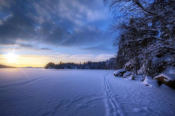 Wintermorgendämmerung am Rande eines verschneiten Waldes