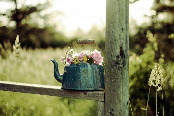 Tetera Vintage con flores cerca de la cerca