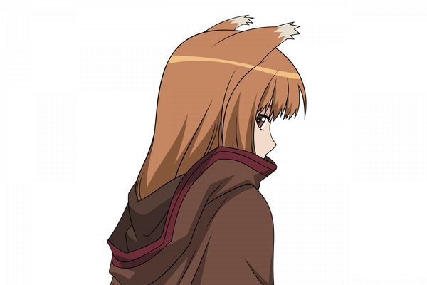 Fille de l anime avec une coiffure semblable à la tête d un renard