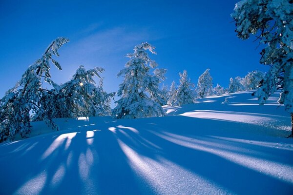 Dawn on the slopes. Winter Fairy Tale