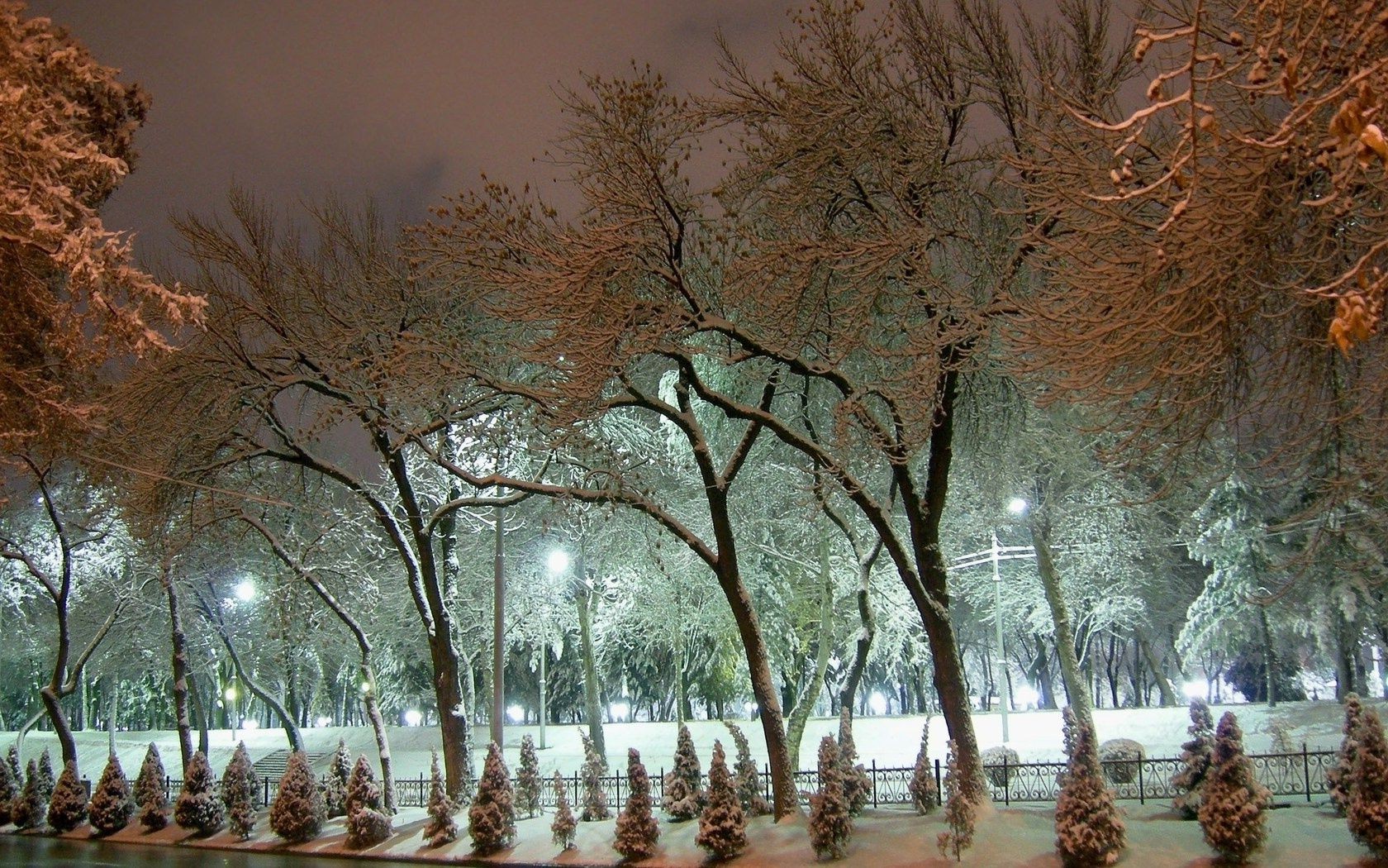 冬季 树木 雪 景观 公园 寒冷 木材 团体 户外