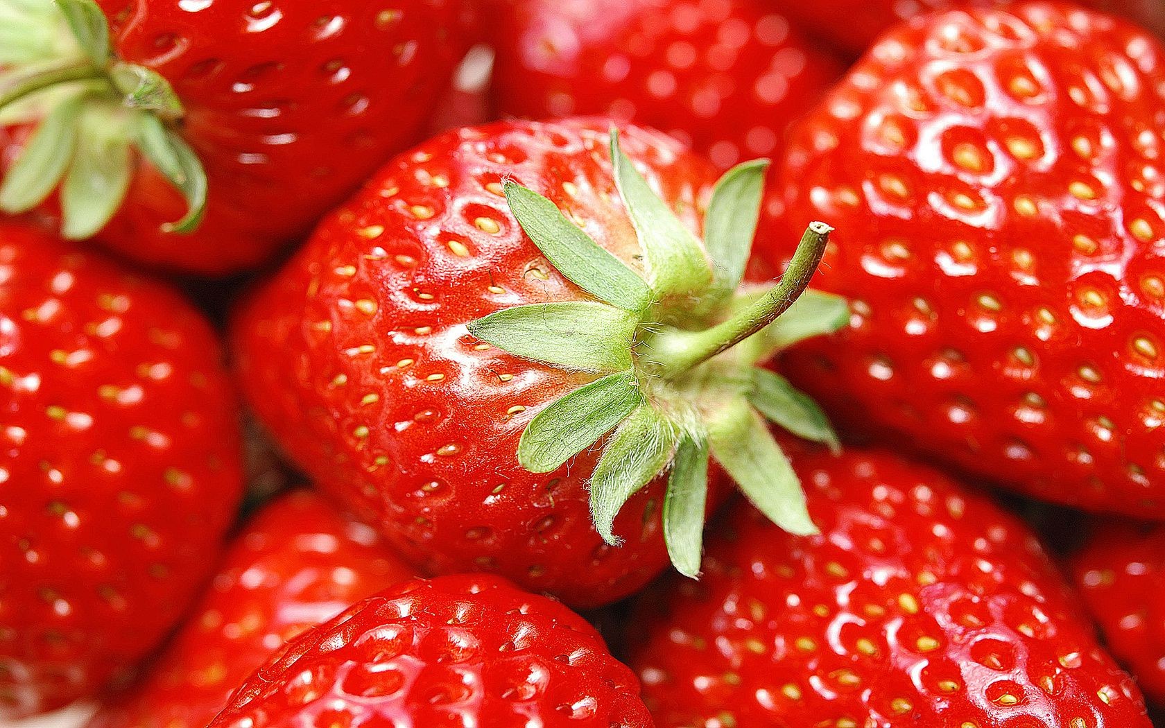 berries strawberry juicy fruit delicious berry health confection food sweet healthy tasty freshness nutrition leaf summer refreshment vibrant nature agriculture