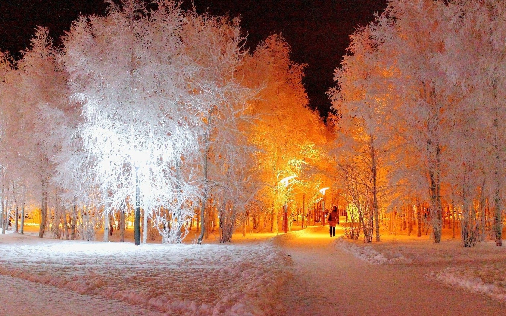 winter schnee frost herbst baum kälte im freien landschaft holz gefroren natur wetter saison eis licht nebel straße blatt park