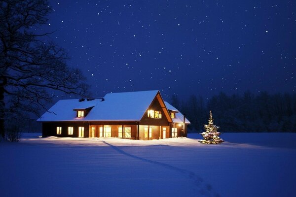 Haus in der Nacht im Schnee mit Weihnachtsbaum