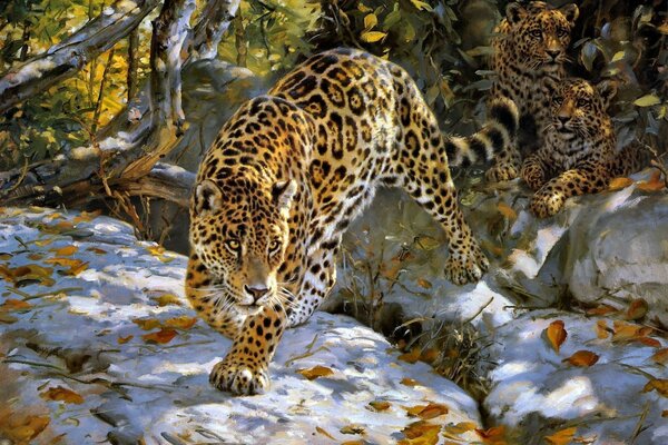 O leopardo selvagem