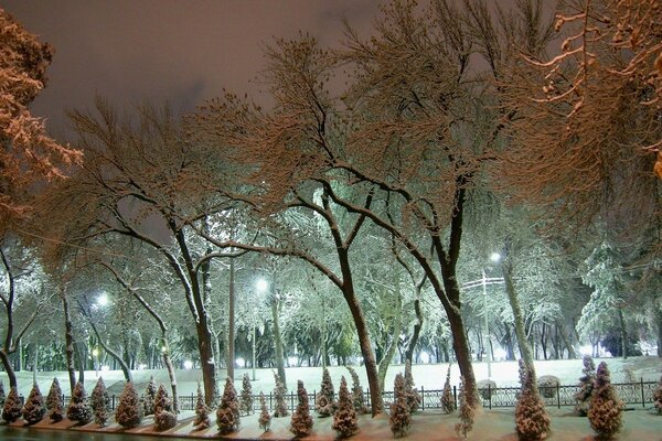 Paysage urbain avec de petits arbres de Noël enneigés