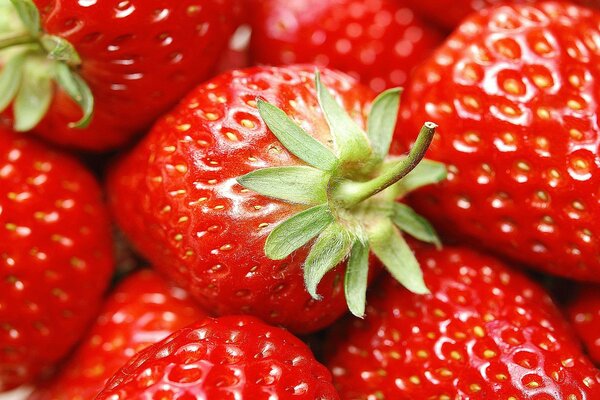 Strawberries are juicy and delicious berries