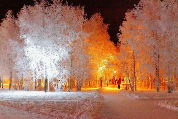 Nocny śnieżny park z oświetloną aleją