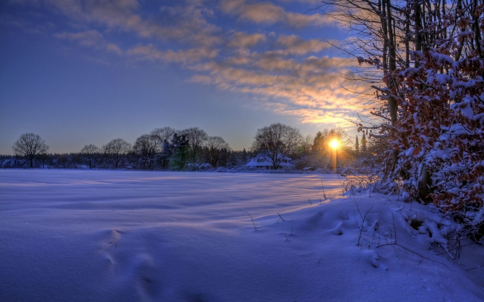 hiver neige paysage congelé froid arbre gel glace aube coucher de soleil soir lac météo nature eau scénique beau temps ciel lumière