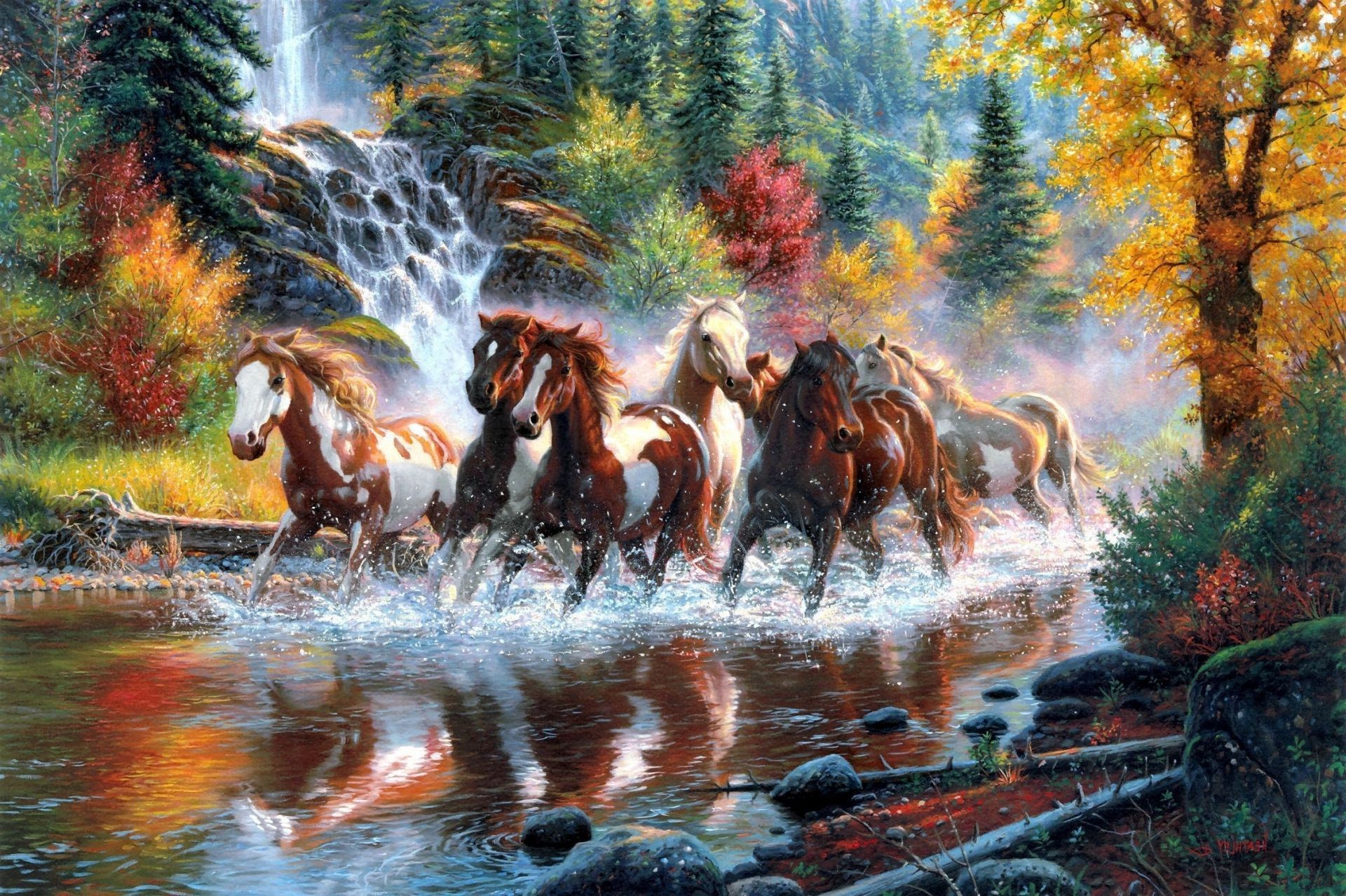 cheval mammifère nature en plein air eau automne cavalerie arbre mouvement bois sauvage