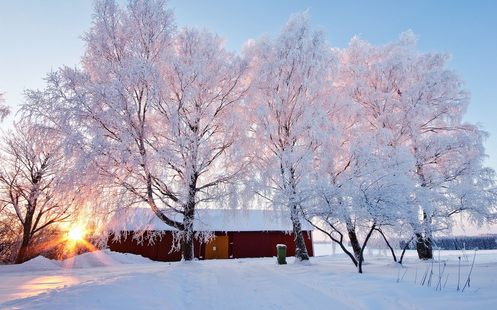 hiver neige froid bois gel congelé saison paysage bois scénique glace météo givré branche neige-blanc