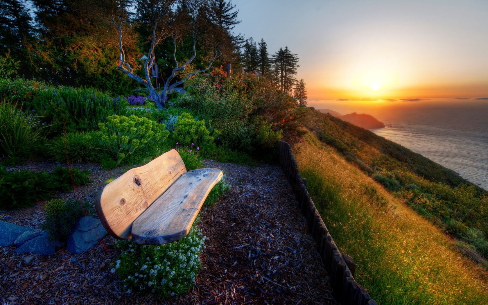 puesta de sol y amanecer paisaje puesta de sol naturaleza árbol madera cielo agua viajes al aire libre amanecer hierba noche otoño escénico parque lago luz