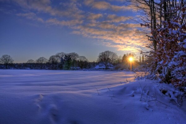 Pôr do sol frio na floresta de Inverno