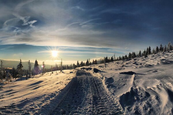 The road on the snow-covered floor into the forest