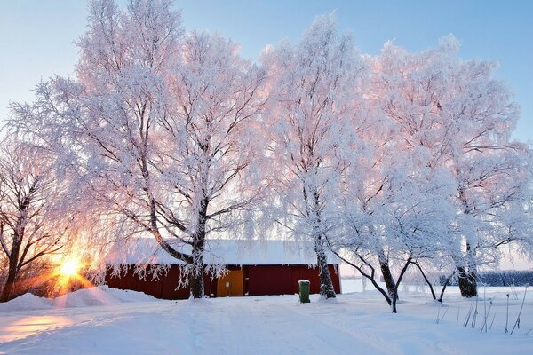 Winter winter, snowball and creaking frost