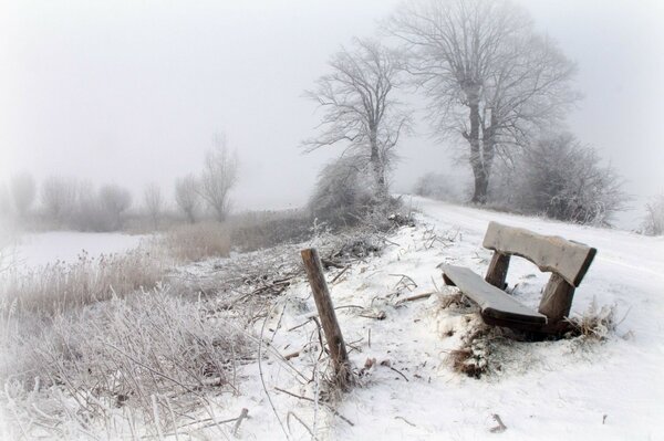 Frío y lúgubre invierno