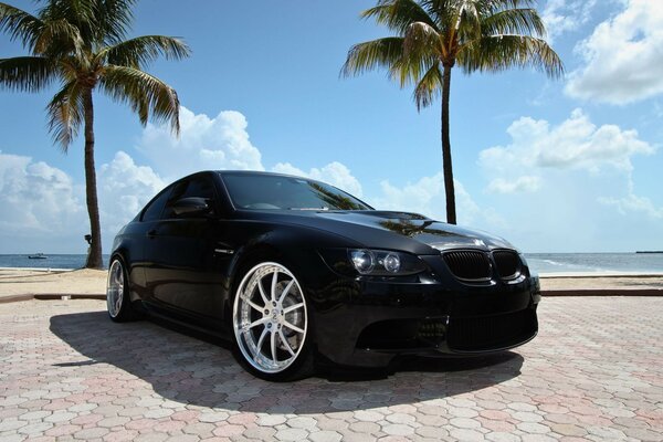 Black car at two palm trees