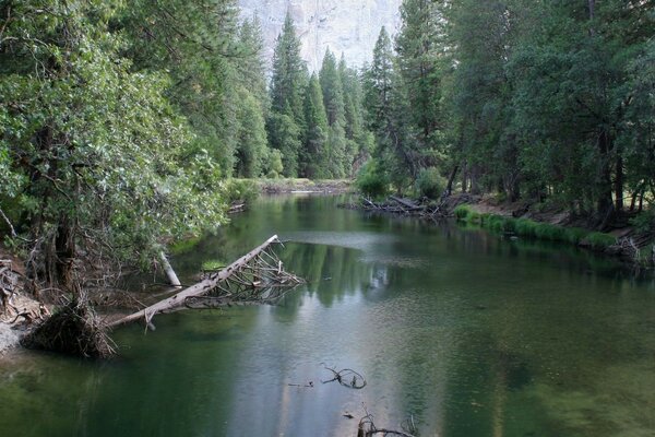 La bellezza della natura la bellezza del fiume