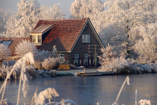 A house in a snow-covered forest on the shore of a lake