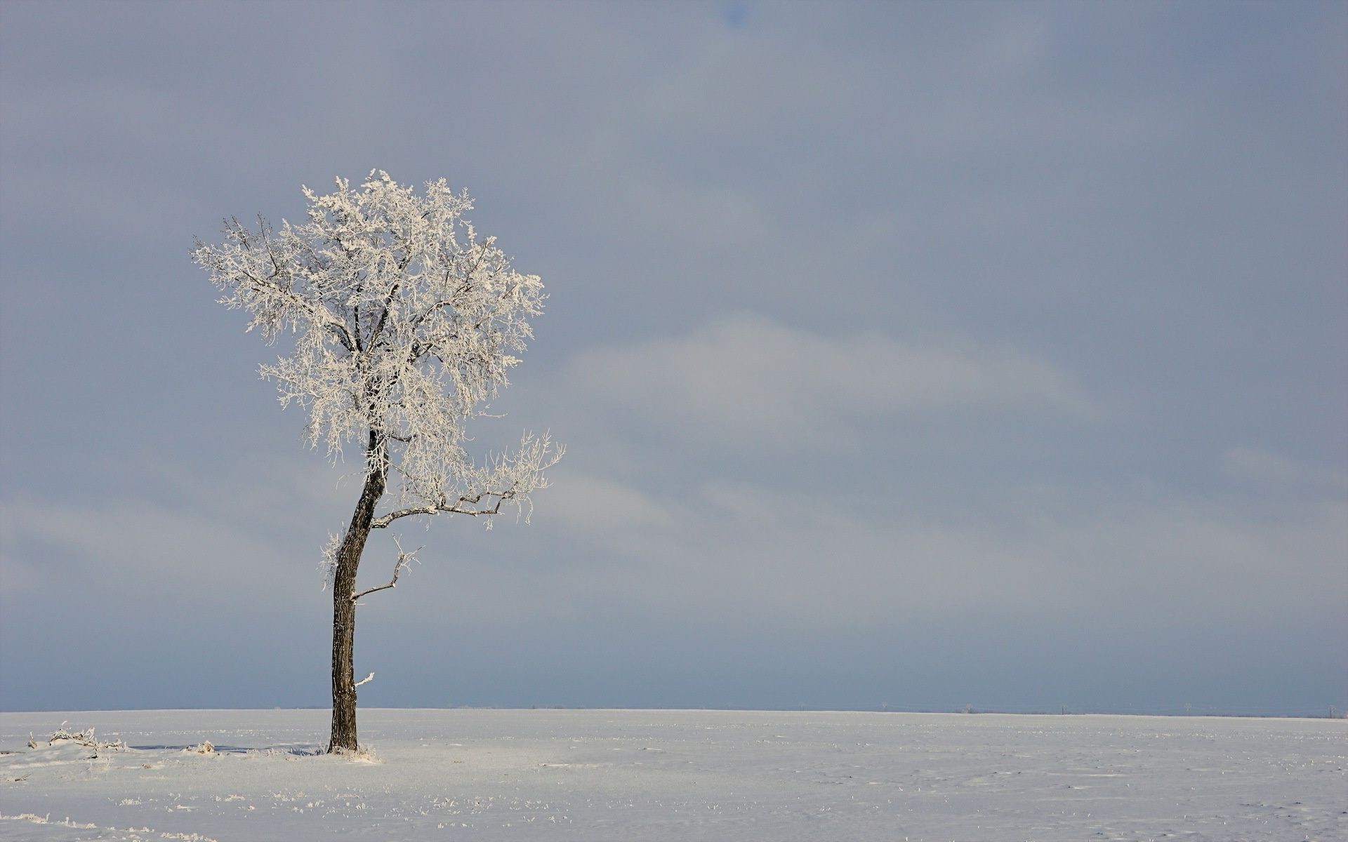 inverno neve natura freddo gelo paesaggio ghiaccio cielo uno all aperto albero sole acqua bel tempo congelato nebbia cielo blu tempo alba