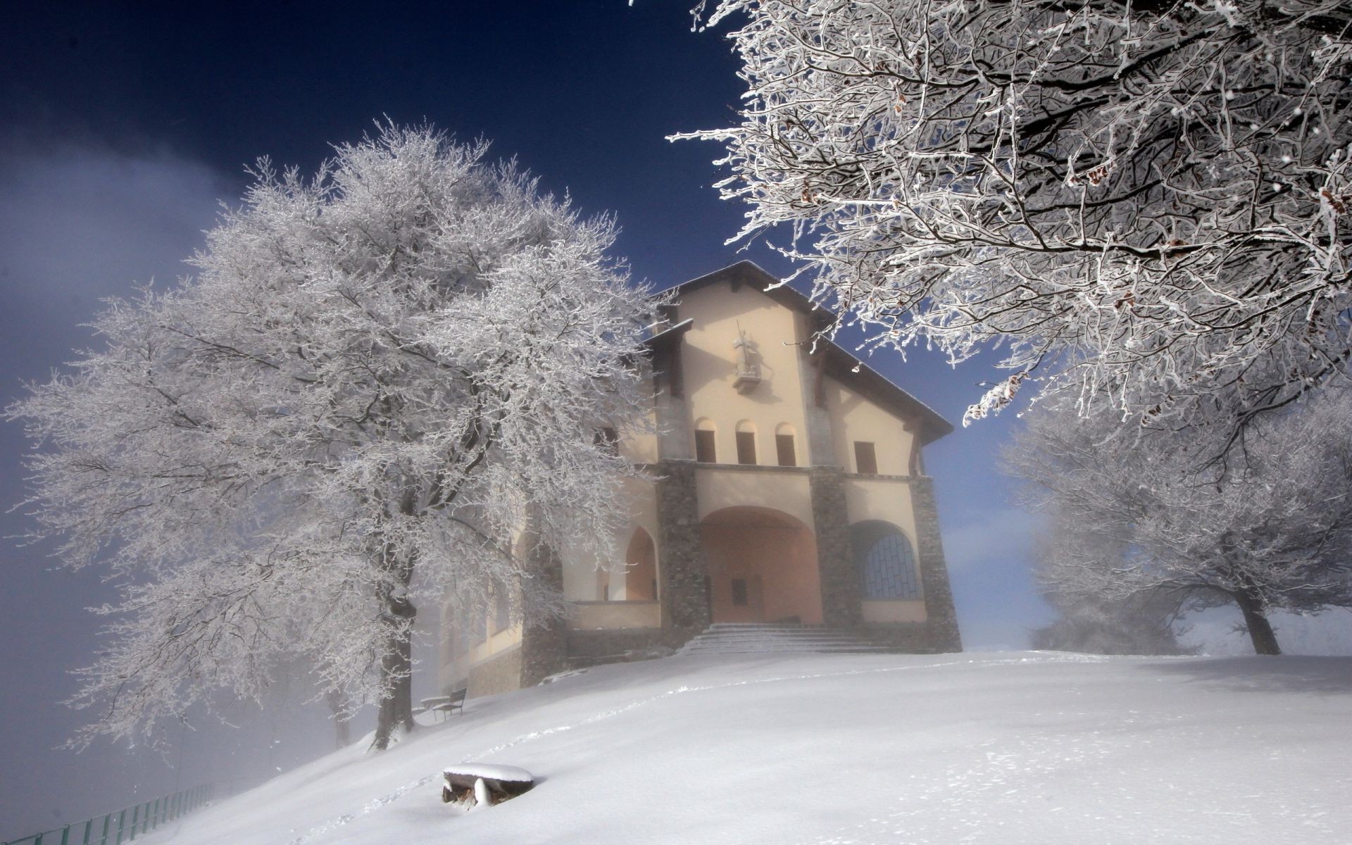 inverno neve freddo gelo congelato ghiaccio meteo albero legno tempesta di neve stagione neve-bianco gelido paesaggio neve natale ghiaccio cumulo di neve