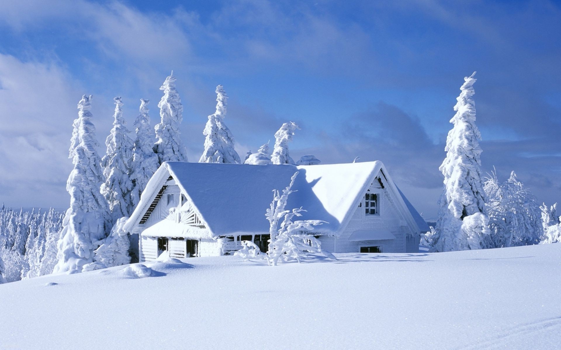 hiver neige froid glace congelé montagnes gel givré cabane paysage météo scénique bungalow bois chalet maison neigeux station neige