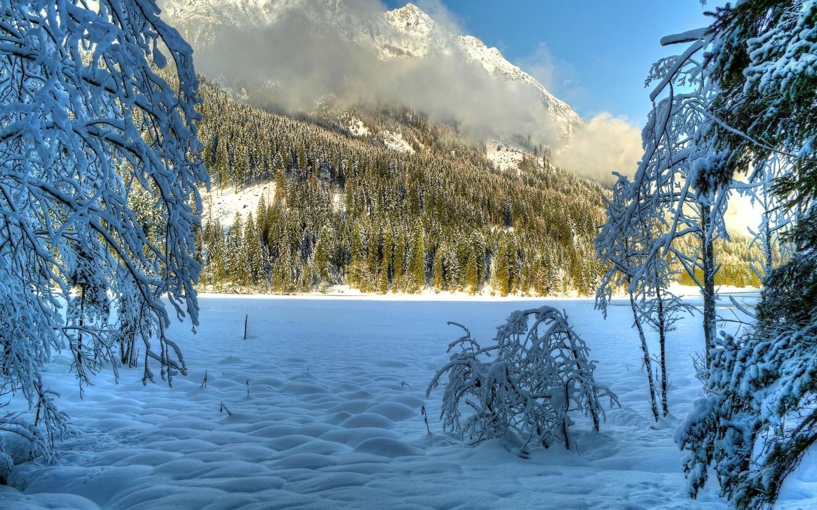 winter snow wood landscape tree cold frozen scenic frost ice nature season mountain weather fair weather evergreen snow-white frosty conifer