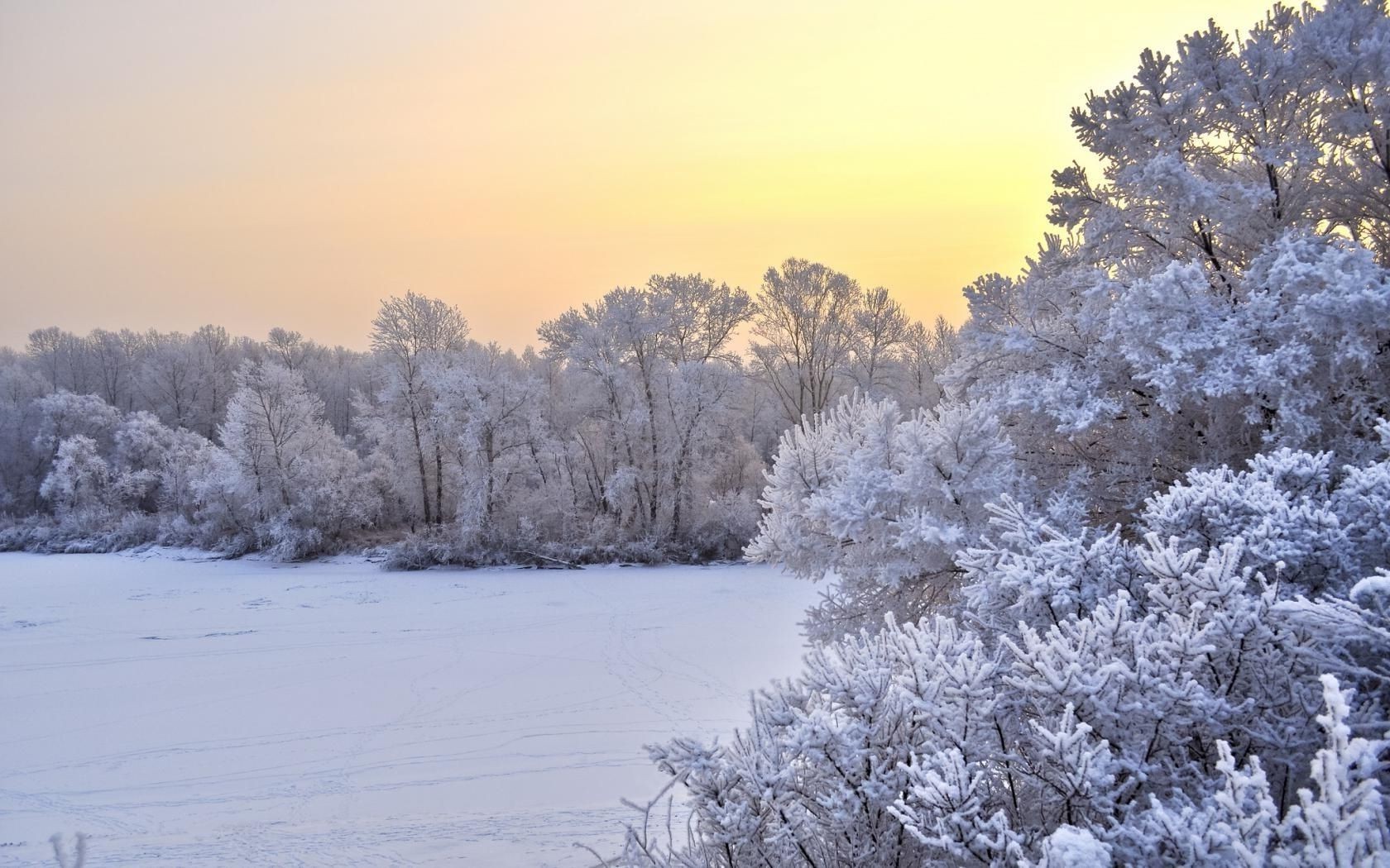 primavera inverno neve gelo freddo congelato meteo albero paesaggio stagione ghiaccio legno gelido nevoso ramo scenico neve-bianco scena ghiaccio cumulo di neve