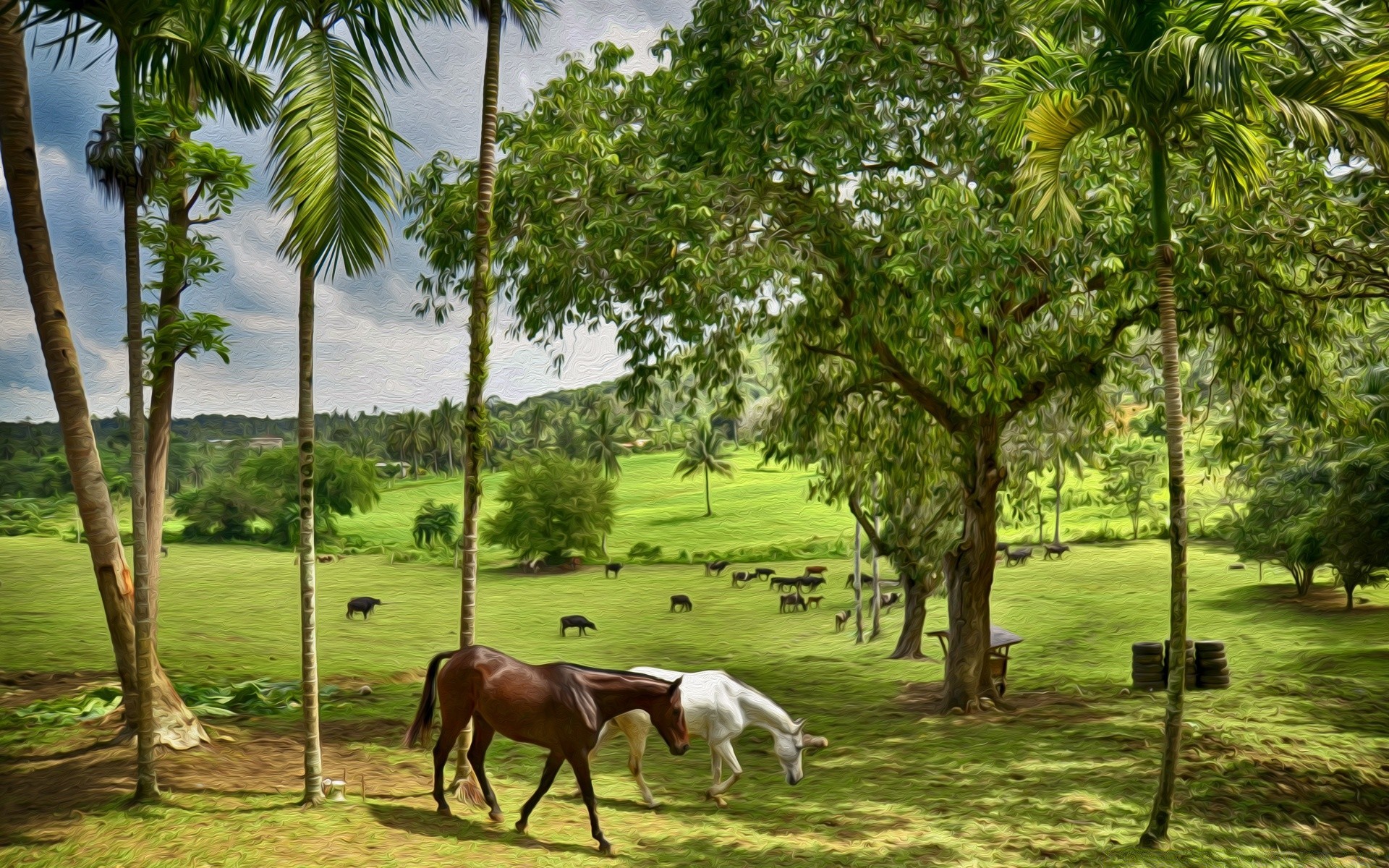 zeichnungen baum natur sommer im freien tropisch gras landwirtschaft sonne gutes wetter blatt bauernhof flora palmen landschaft ländlich schön reisen