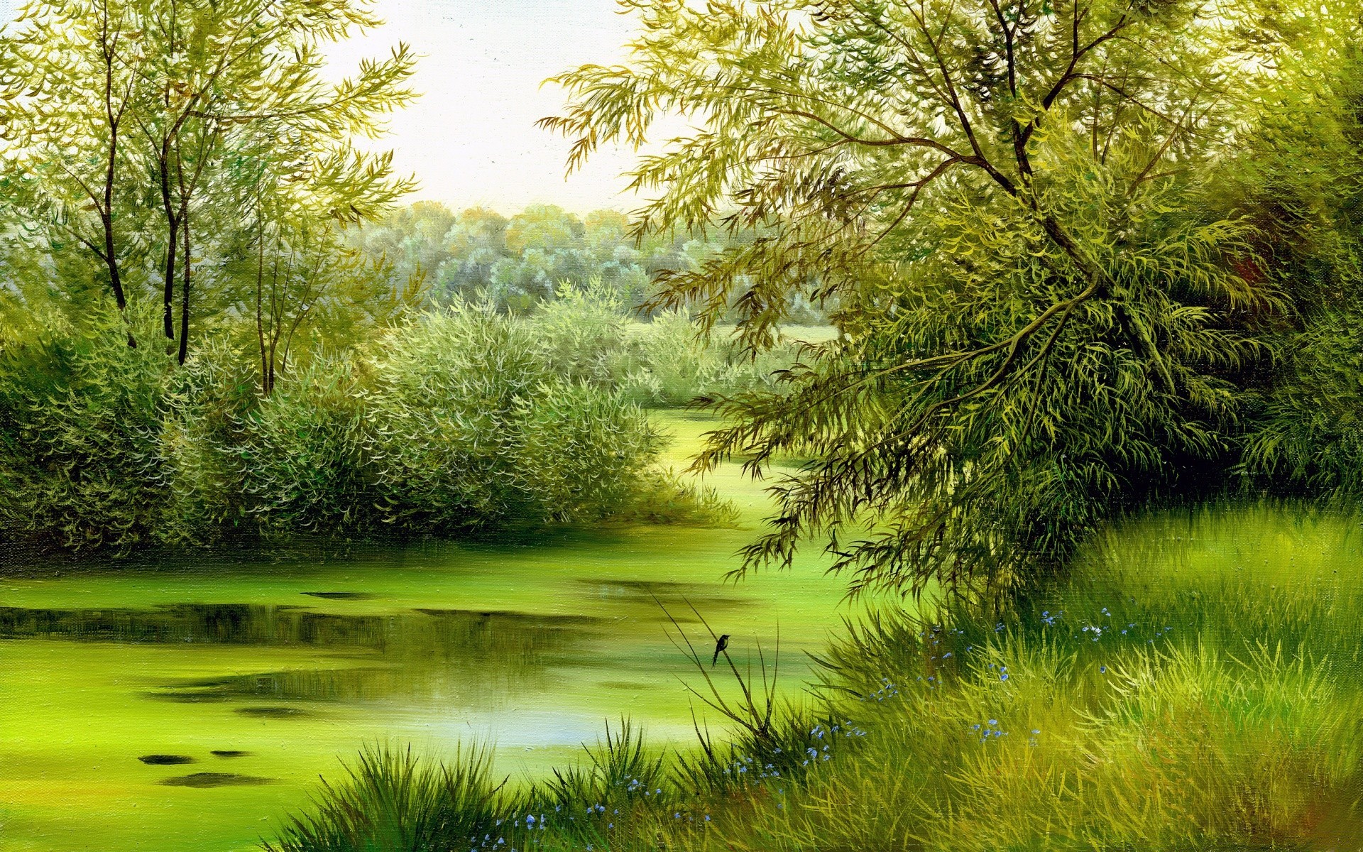 drawings nature landscape tree grass park wood summer leaf outdoors water scenic flora season environment lush fair weather scenery dawn lake