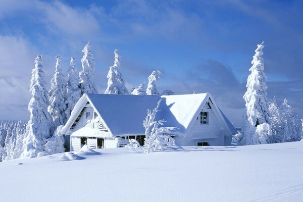 森林里的冬季雪屋