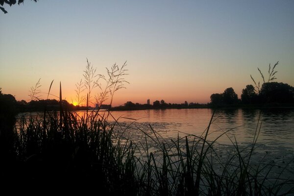 Beautiful sunset in nature by the lake