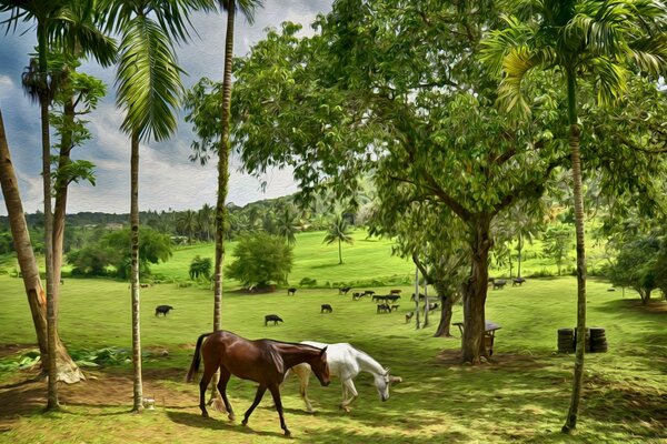 Caballos pastando en un Prado verde