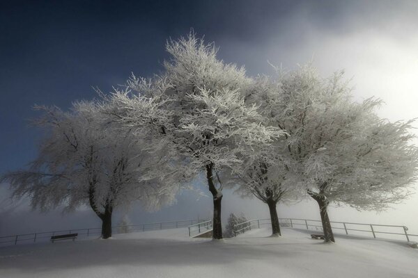 Alrededor de blanco blanco, blanco como la nieve todo lo llevó