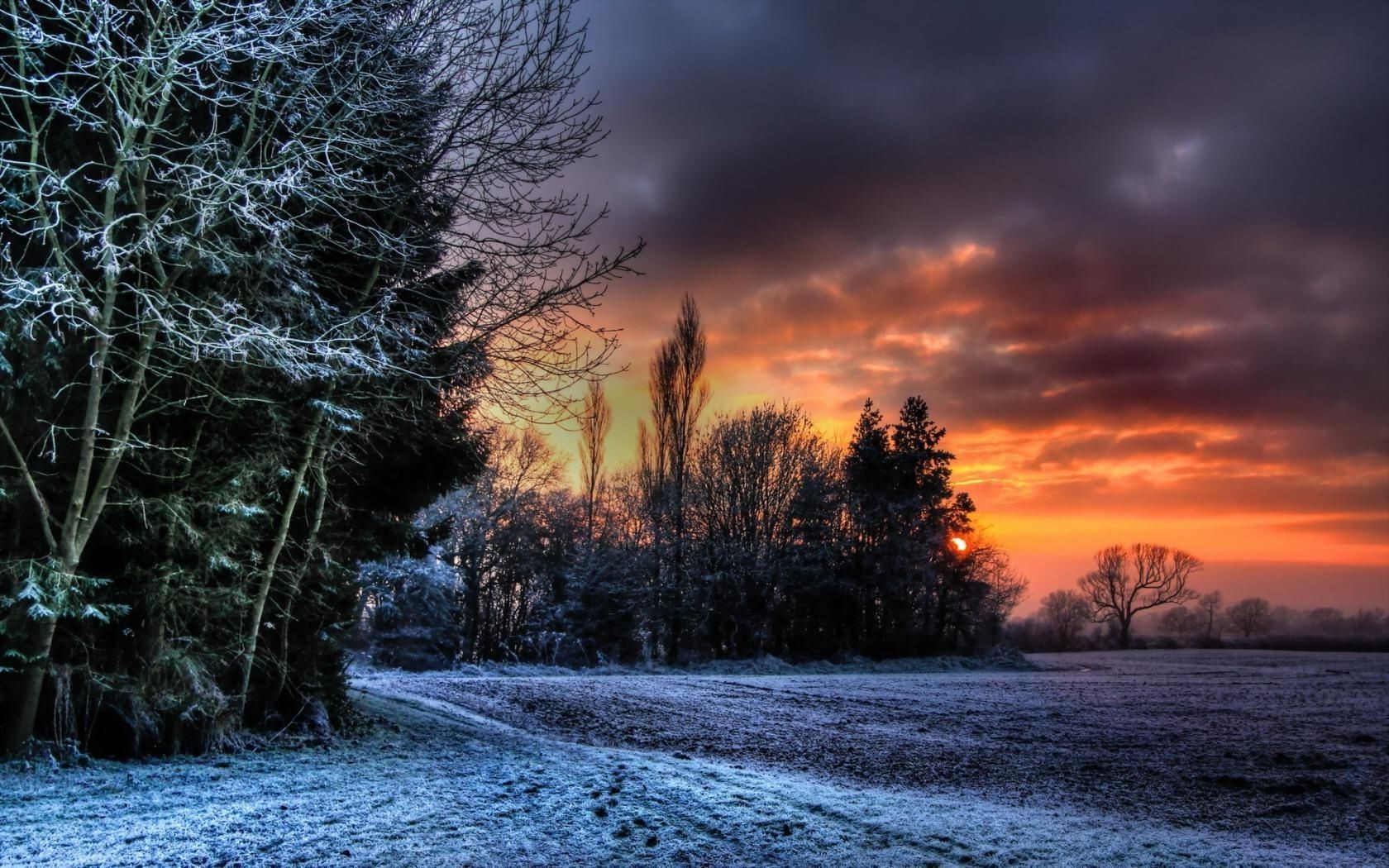 winter dawn landscape nature sunset tree fall snow cold outdoors weather evening water sky frost lake wood sun fair weather