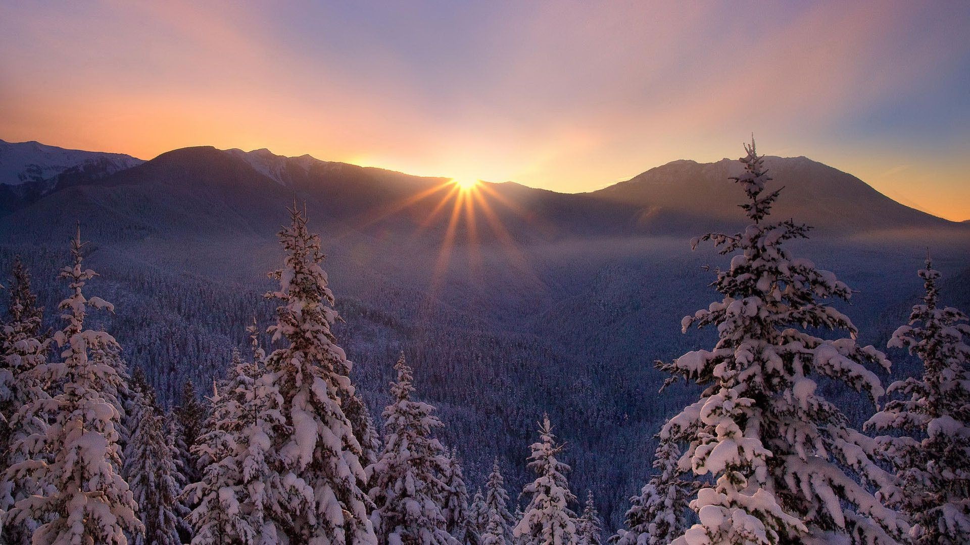 winter snow mountain landscape cold wood frost dawn nature tree fair weather outdoors sunset sky ice scenic fog conifer evergreen