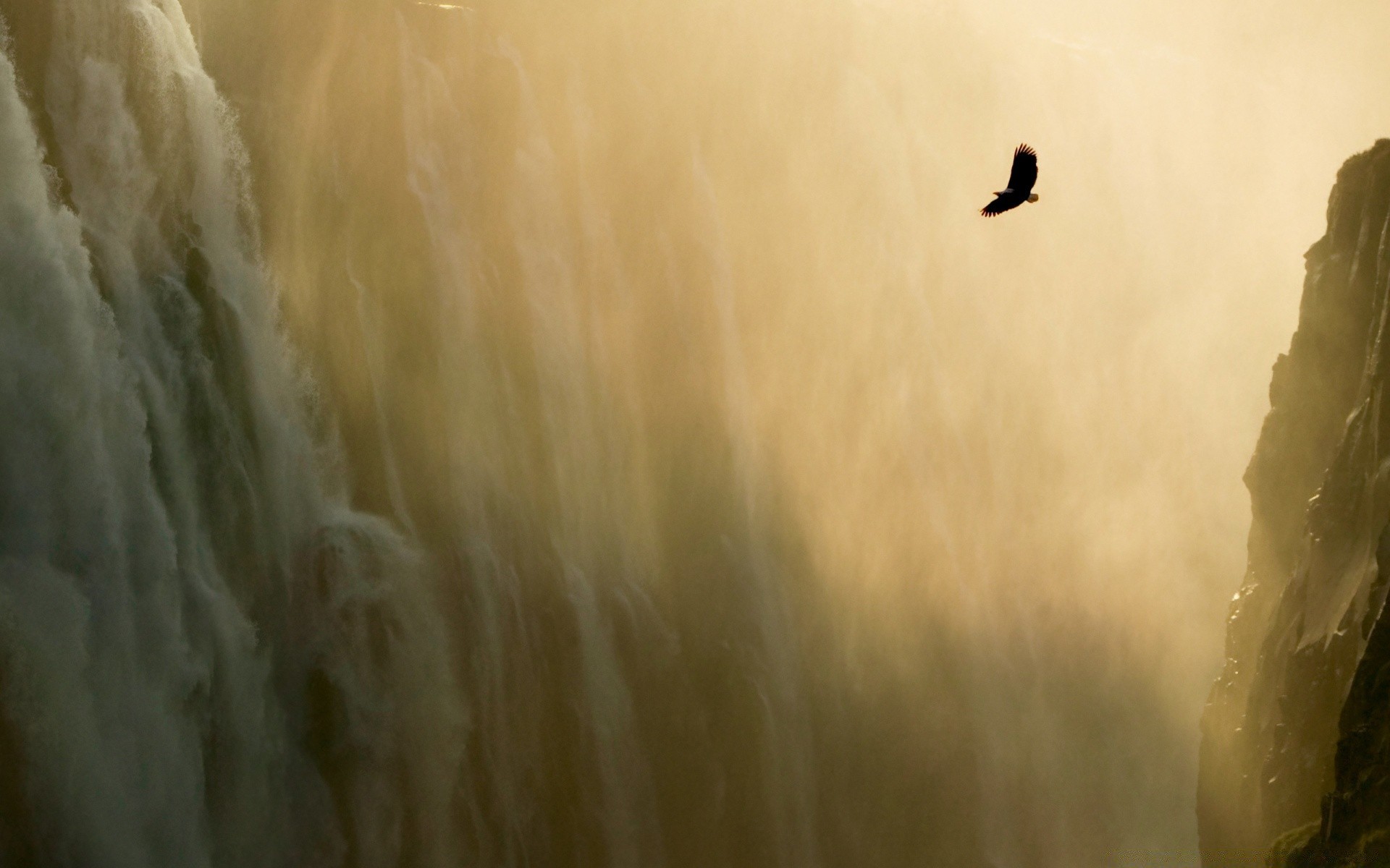 drawings landscape sunset fog outdoors bird nature daylight water sun dawn backlit